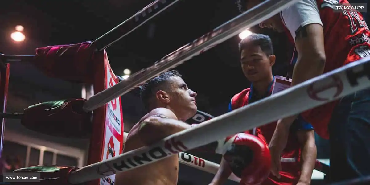 为什么选择我们